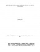 DERECHO INTERNACIONAL DE LOS DERECHOS HUMANOS Y EL SISTEMA PENITENCIARIO