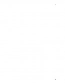 PLAN ESTRATÉGICO DE AMPLIACIÓN DE MERCADOS DE LA EMPRESA BEATRICE FLYE DE MITCHELL S EN C HACIA BÉLGICA.