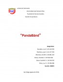 Estudio de mercaddo pandaband CONTEXTO ESTRATÉGICO
