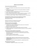 UNIDAD DE CELULA BACTERIANA Funciones de la membrana citoplasmática