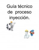 Desarrolo de la Guia del proceso de inyeccion