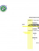 EMPRESA PRODUCTORA DE ZAPATOS, BOLSOS Y CORREAS PARA DAMA