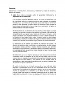 ¿Qué dicen estos conceptos sobre la propiedad intelectual y la legitimidad de su protección?