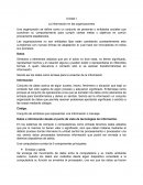 Como se da el Resumen de Unidad 1 de informacion