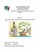 Principales modelos explicativos del proceso salud-enfermedad (S-E)