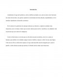 Desarrollo social Actividad