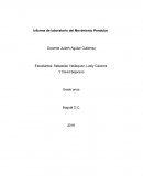 Informe de Laboratorio Péndulo