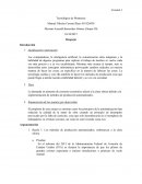 Actividad de español Bosquejo