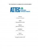 TEMA: “FUNCIONAMIENTO DE LA WEB”