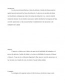 Optimiza el metodo de trabajo