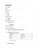 PLAN DE TRABAJO ECOS DEL SUR