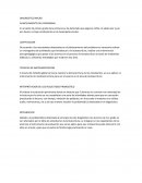 Caracteristicas PLANTEAMIENTO DEL PROGRAMA