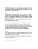 Importancia de las Bases de Datos