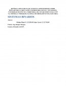 SISTEMAS BINARIOS VENEZUELA
