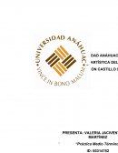 ANALISIS NACIMIENTO DE UNA NACION