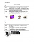 OBJETOS A ANALIZAR: ACTIVIDAD