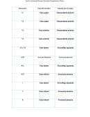Caras del corazón y derivaciones que las miden