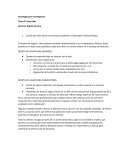 Caso UBER-Estrategia