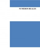 Numeros reales
