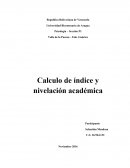 Ensayo - Calculo de índice y nivelación académica.