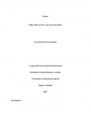 Ensayo derechos de los niños