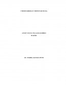 CMD DESARROLLO Y BIENESTAR SOCIAL