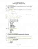 Guía de Control y Dirección GRUPO