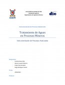Tratamiento de Aguas en Procesos Mineros