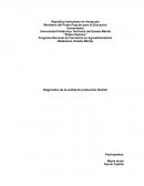 Diagnostico participativo del proyecto de abastecimiento familiar