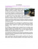 Los ecosistemas son importantes para el ser humano, sin embargo el hombre ha contribuido a destruirlo