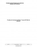 Pruebas de Interoperabilidad Troncal SIP IMS de COPACO