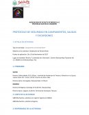 PROTOCOLO DE SEGURIDAD EN CAMPAMENTOS, SALIDAS Y EXCURSIONES