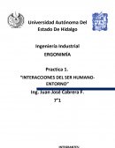 Ergonomía Café Aristóteles