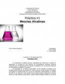 Práctica #1 Mezclas Alcalinas