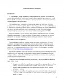 Incidencia Eficiencia Energética