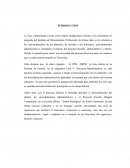 RESEÑA HISTÓRICA DE LA ESCUELA BÁSICA “SIMÓN RODRÍGUEZ”