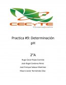 Practica #9: Determinación pH