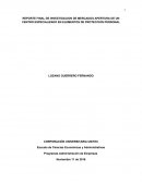 REPORTE FINAL DE INVESTIGACION DE MERCADOS APERTURA DE UN CENTRO ESPECIALIZADO EN ELEMENTOS DE PROTECCION PERSONAL