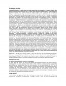 El paradigma del código