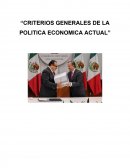 Criterios generales de la politica economica actual