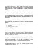 Mis competencias Profesionales