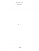 Ensayo crítico (introducción a los sistema de información)