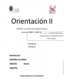 LINEAMIENTOS PARA ENTREGA DE PORTAFOLIO