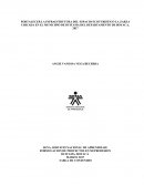 Proyecto final formulación de proyectos sena