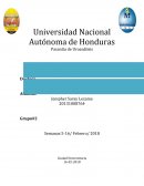 Pasantía de Uroanálisis MICROALBUMINURIA