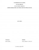 LABORATORIO QUIMICA DE MEDICAMENTOS INORGANICOS II