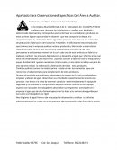 Apartado Para Observaciones Especificas Del Área a Auditar