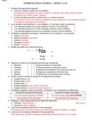 EXAMEN DE FISICA Y QUIMICA - GRADO: 5 Y 6º