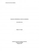 ANALISIS DEL CORTOMETRAJE EL CIRCO DE LAS MARIPOSAS