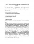 Seguros -cómo se clasifican las pólizas de seguro y que son las partes de la Póliza
